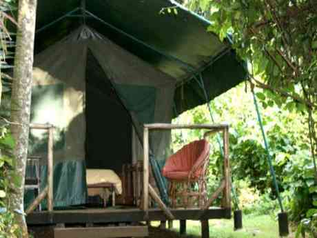 Kibale Forest Camp